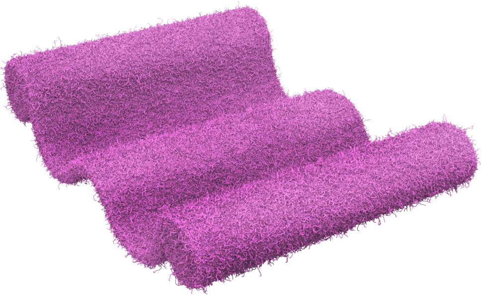 Carpet