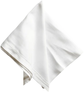 Napkin